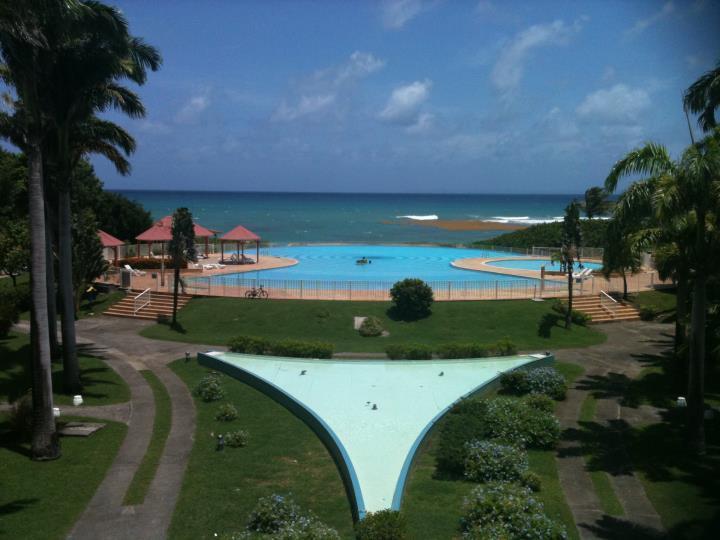 L'Oiseau Du Paradis Vue Mer Studio A Saint Francois A 100 M De La Plage Номер фото